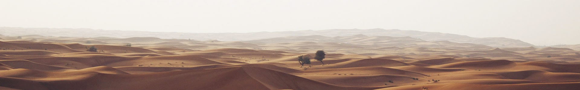 ظͿ޹˾